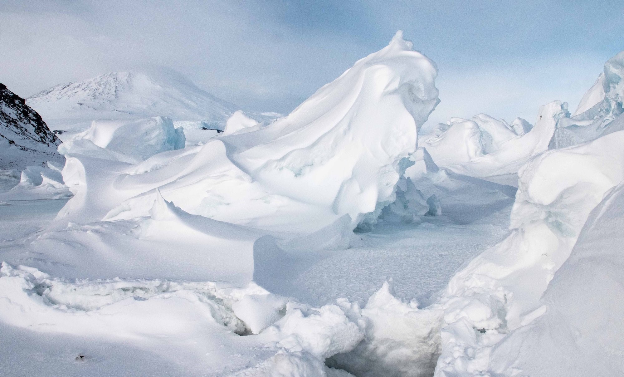 Antarctica Photo by Arlo Perez