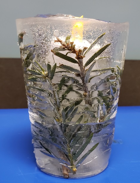 ice lantern with evergreen sprigs