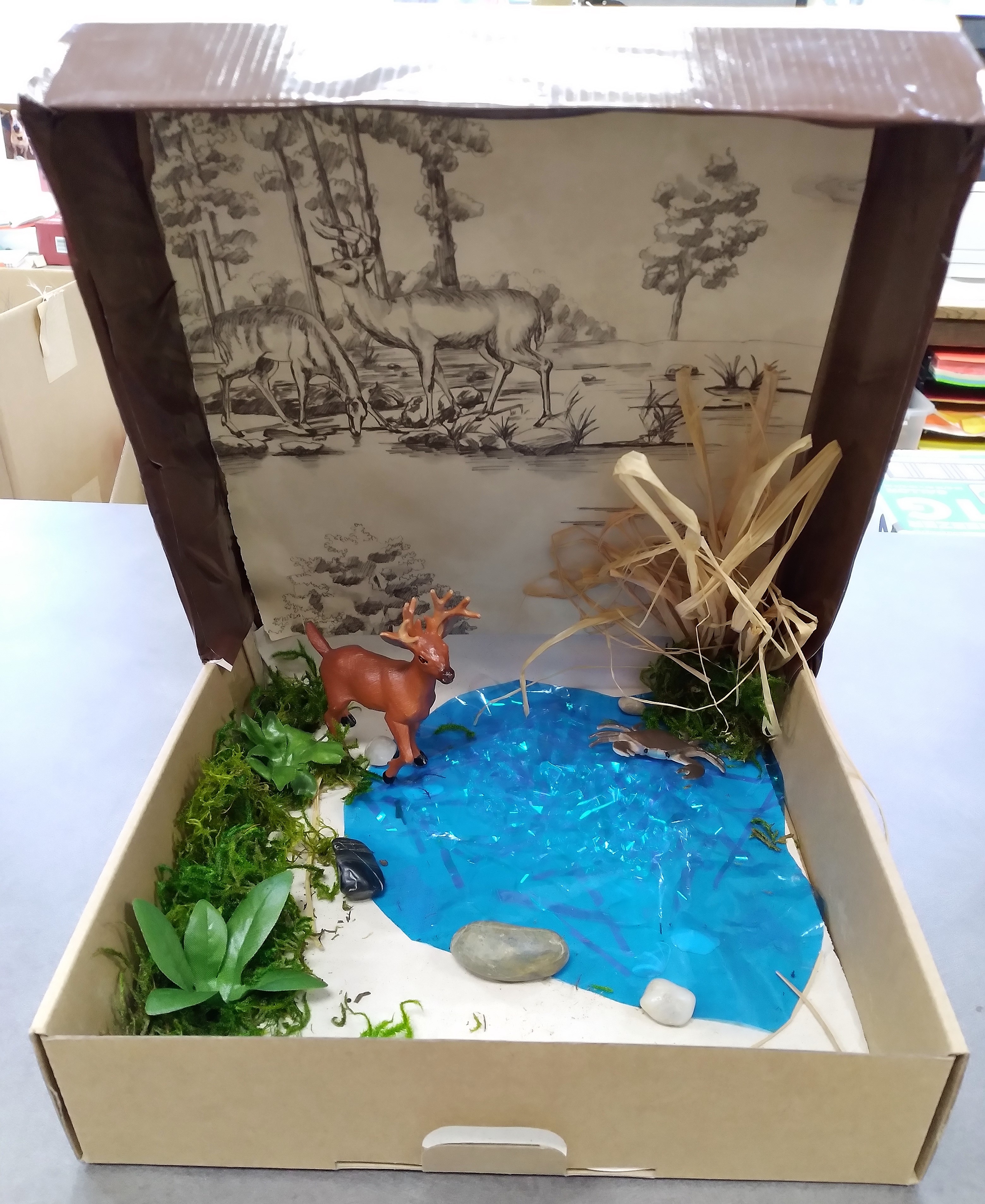 box with woodland scene