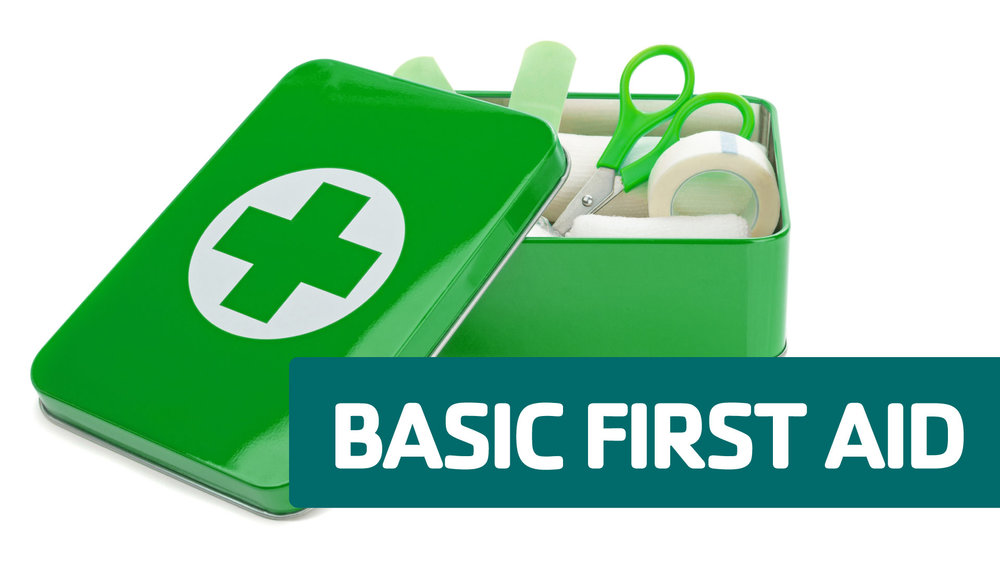 Green basic first aid kit