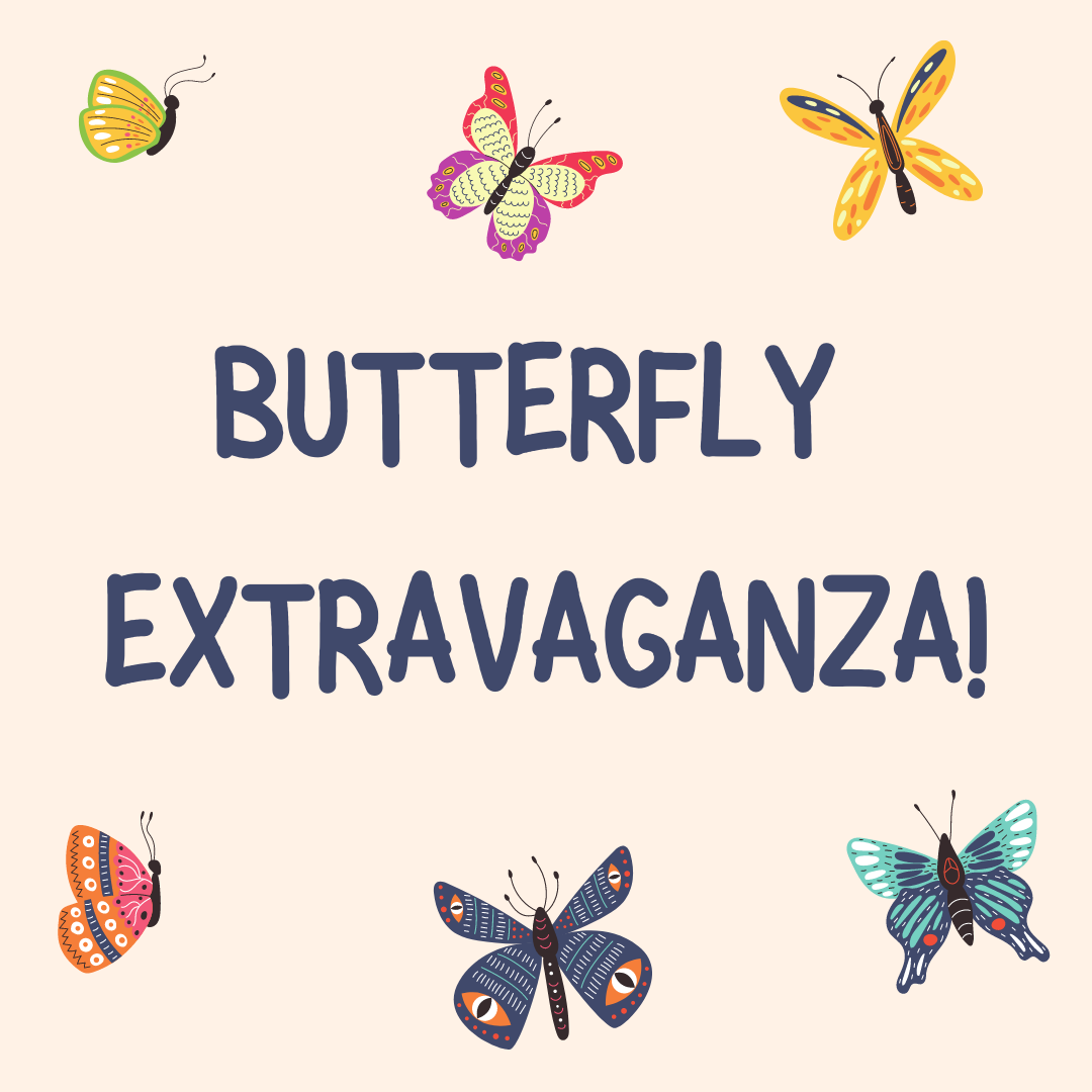 Butterfly Extravaganza!
