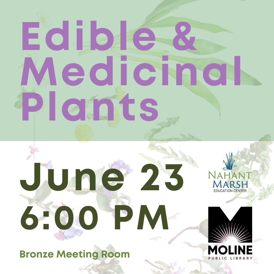 edible and medicinal plants - june 23