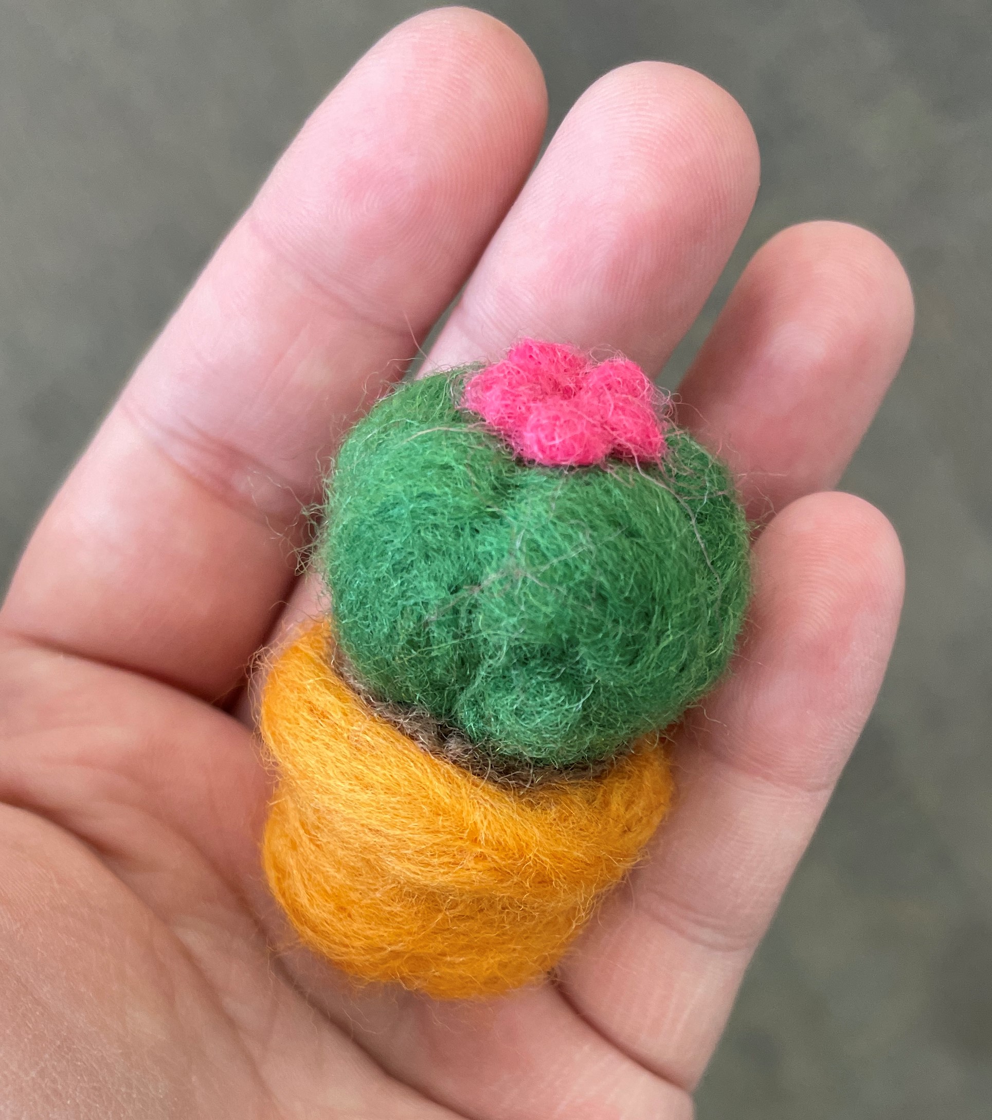 Needle Felted Cactus in Felted Pot