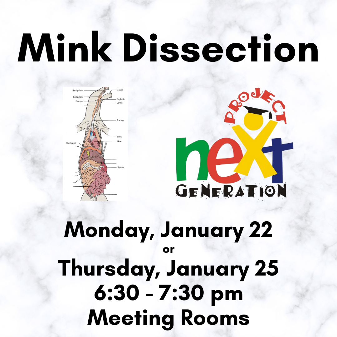 Mink Dissection on January 22 or January 25