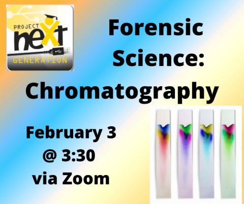 Chromatography