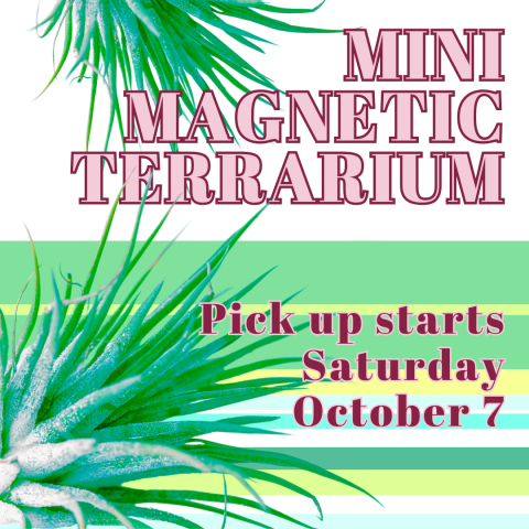 mini magnetic terrarium / october 7, 2023