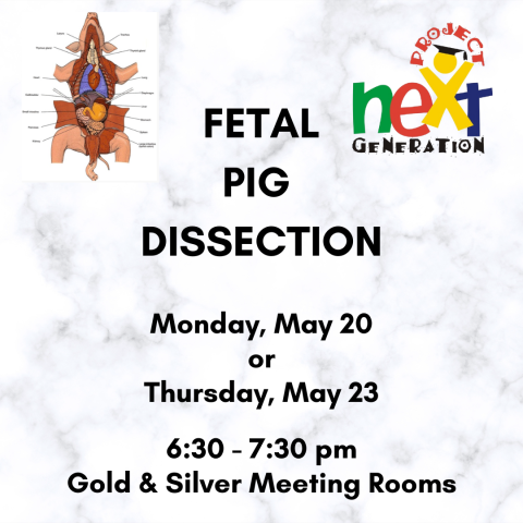 PNG Pig Dissection May 20 or 23 at 6:30