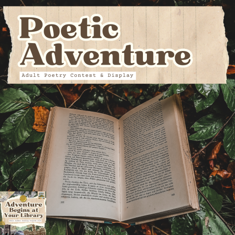poetic adventure / adult summer reading poetry contest & display / july 2024