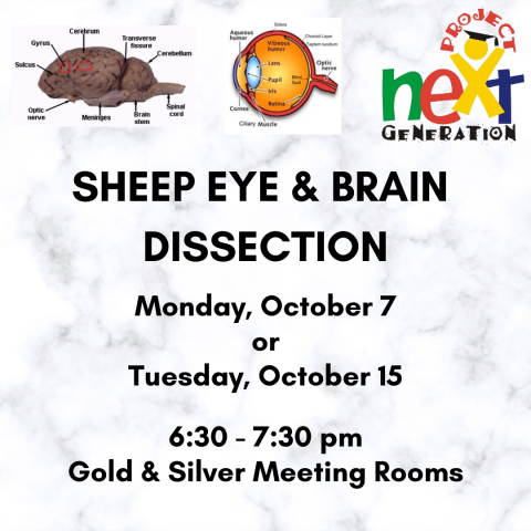 PNG Sheep Eye and Brain Dissection at 6:30 pm on October 7 or 15