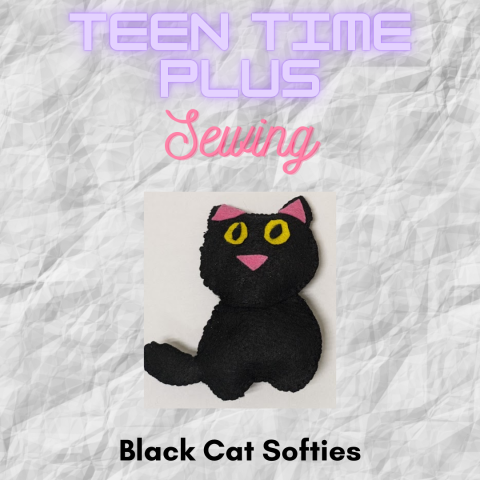 Teen Time Plus Sewing: Black Cat Softies