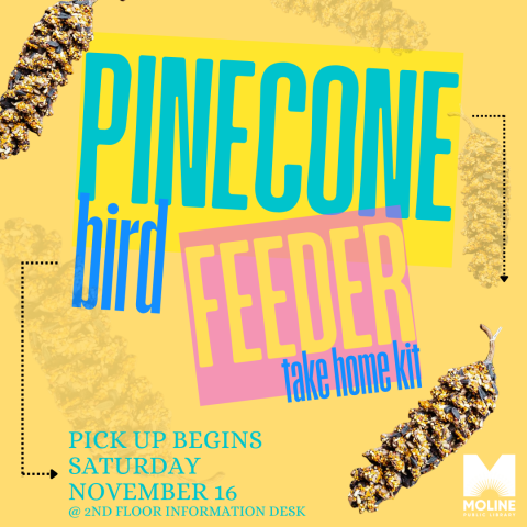 pinecone bird feeder take home kit / saturday november 16