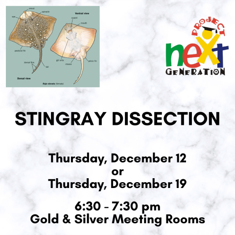 Stingray Dissection December 12 or 19, 6:30-7:30