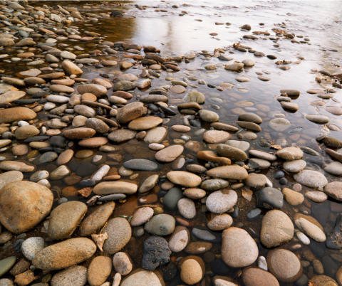 Rocks and pebbles alongside a shallow river.