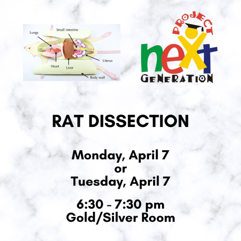 Rat Dissection on April 7 or 15 at 6:30 pm