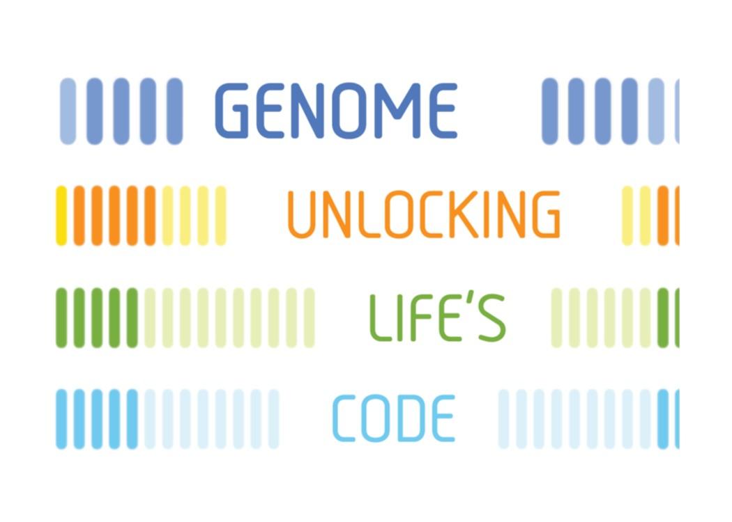 Genome Exhibit 