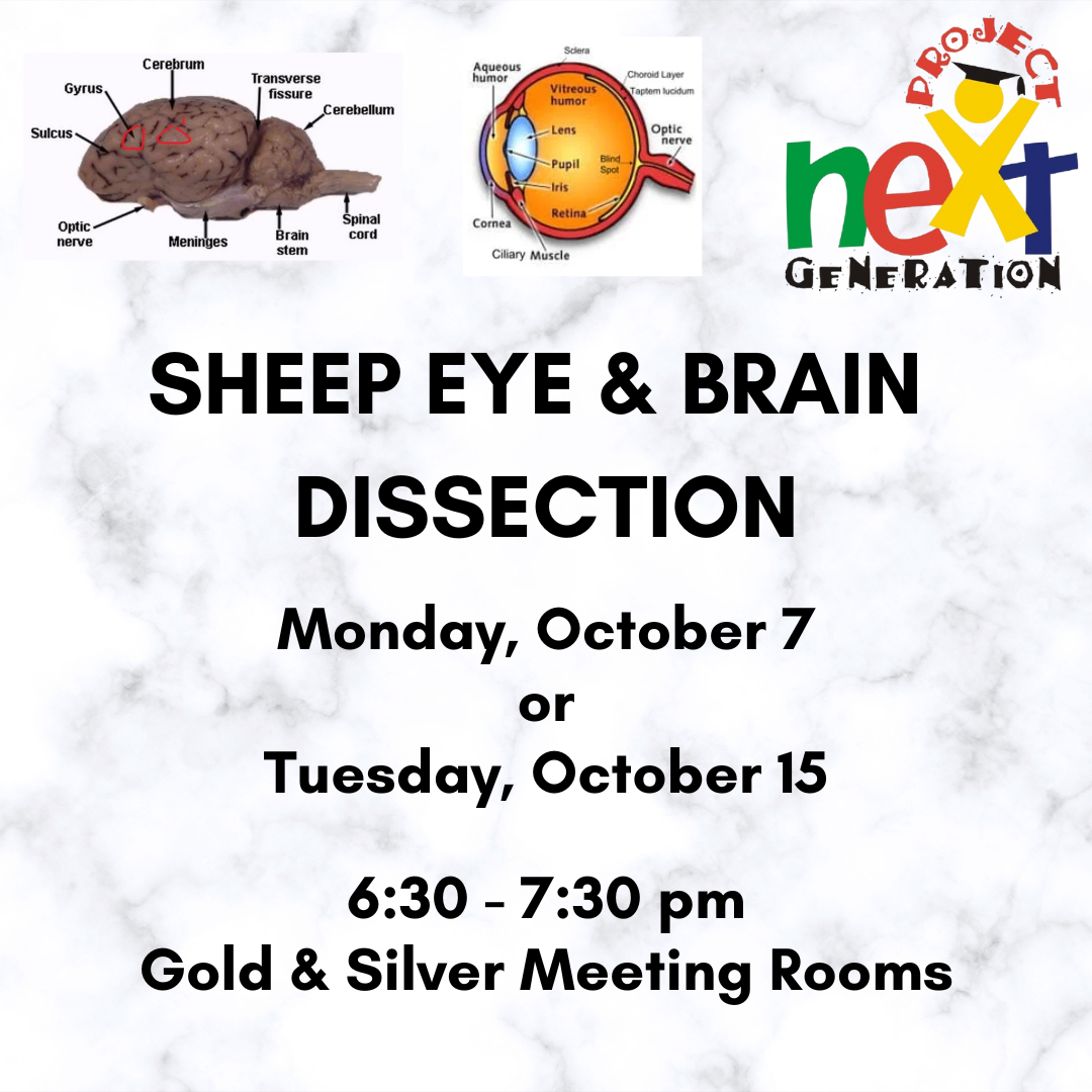 PNG Sheep Eye and Brain Dissection at 6:30 pm on October 7 or 15