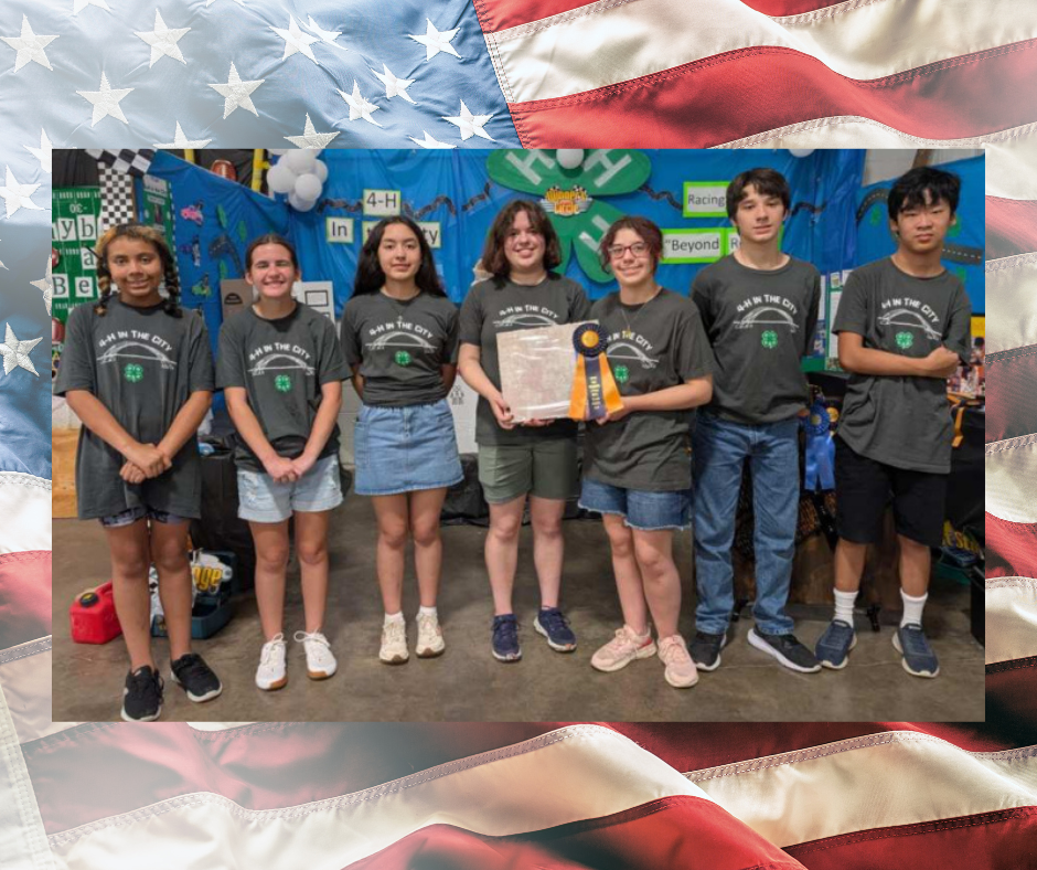 4-H Students holding award with an American flag background